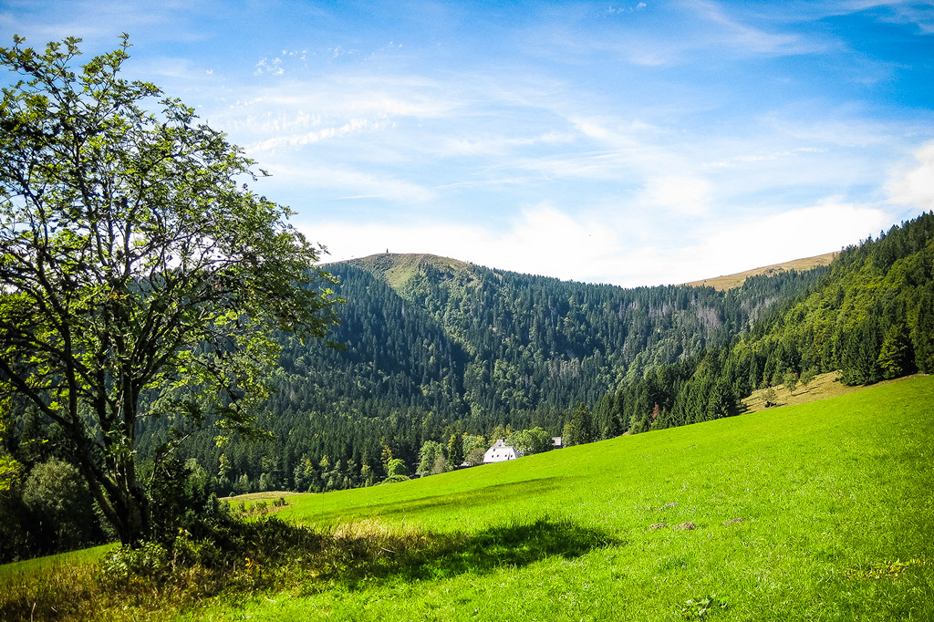 Slider Background