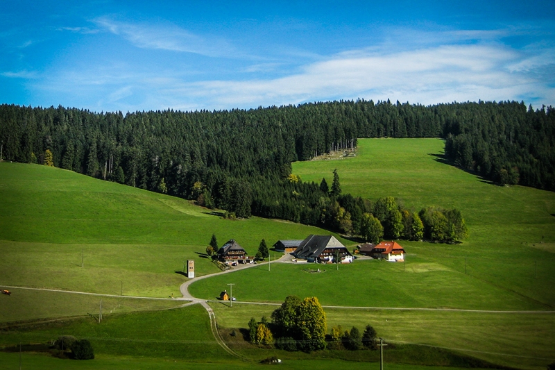 Fewo-titisee-Natur-Umgebung-013.jpg