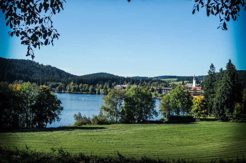 Fewo-titisee-Natur-Umgebung-043.jpg